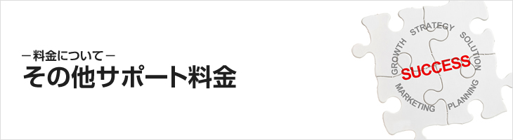 その他サポート料金